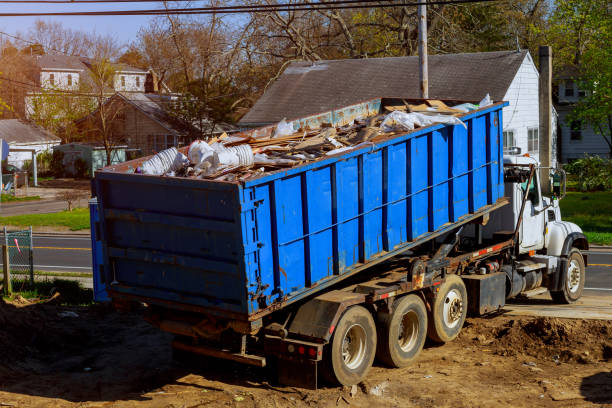 Best Same-Day Junk Removal  in Lake Catherine, IL