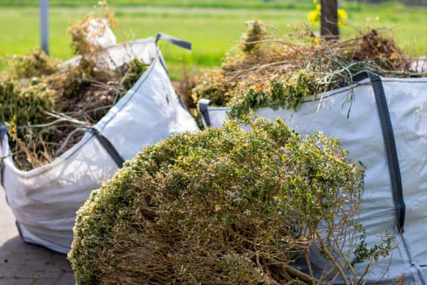 Best Commercial Cleanout Services  in Lake Catherine, IL